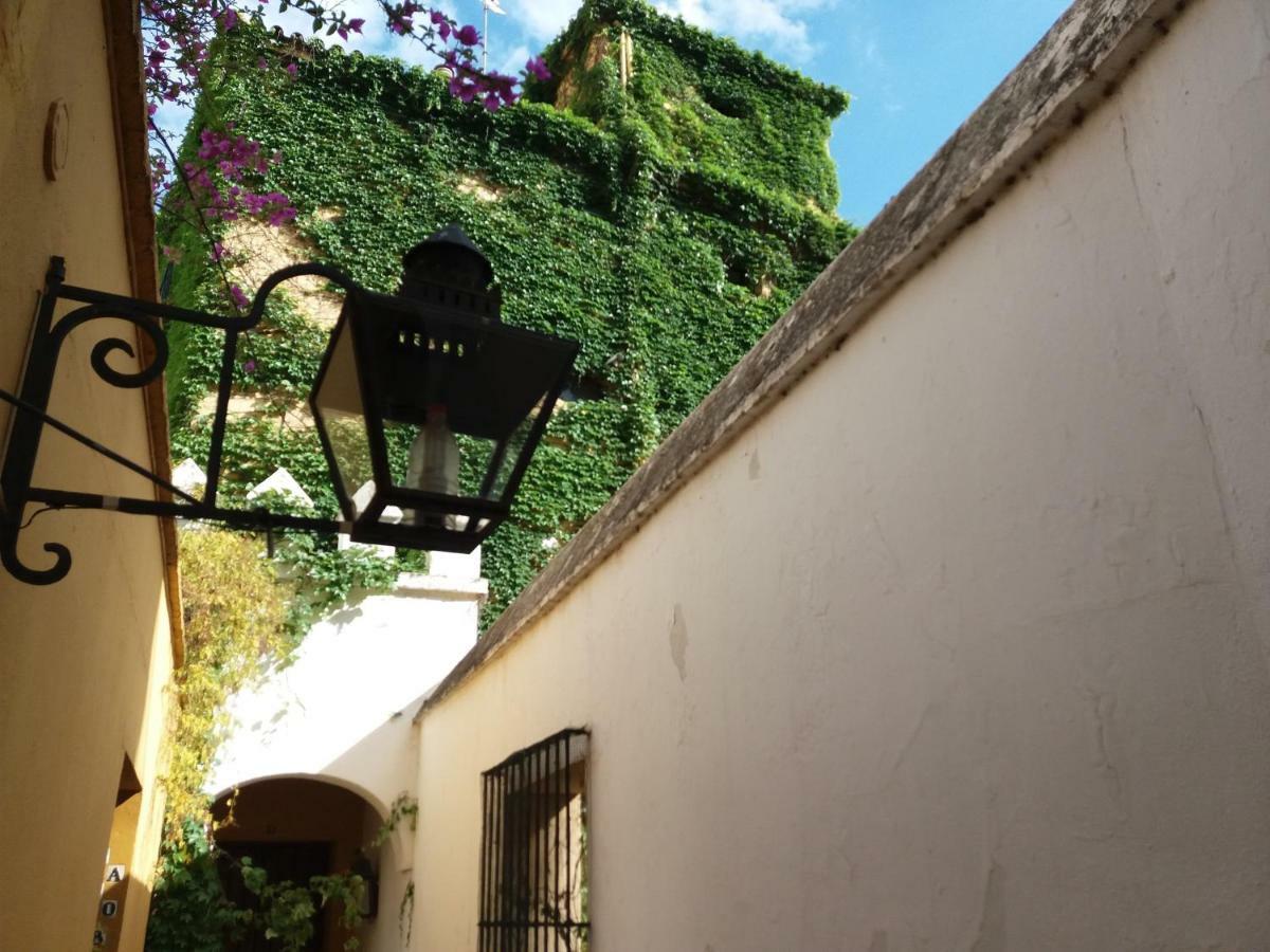 Flamencos Apartamento Con Garage 5 Pax Seville Exterior photo